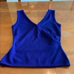 Rebecca Moses Royal Purple V-Neck Sweater